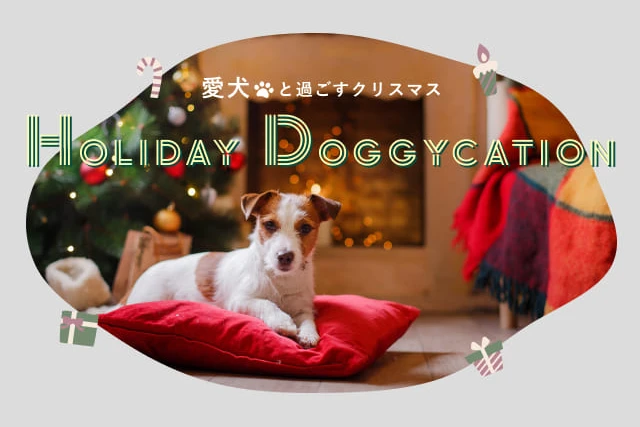 Holiday Doggycation 愛犬と過ごすクリスマス