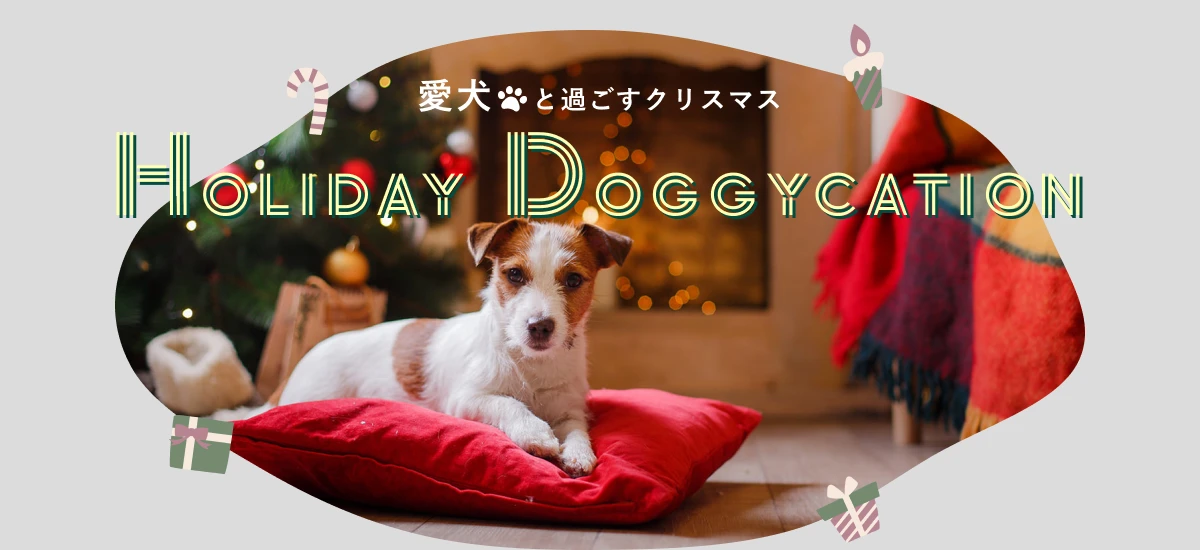 愛犬と過ごすクリスマス　HOLYDAY DOGGYCATION