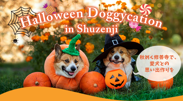 Halloween Doggycation in Shuzenji | My Shippo, 画像サイズ:750x416