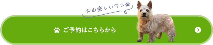 ご応募はこちらから