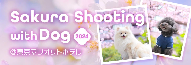 Sakura Shooting with Dog 2024