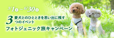 フォトジェニック旅キャンペーン