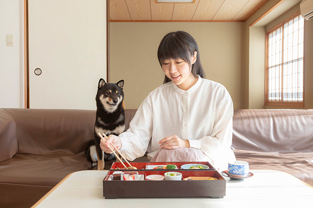 愛犬と過ごすお部屋食付きプラン